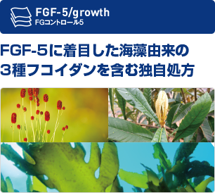 FGF-5に着目した海藻由来の3種フコイダンを含む独自処方