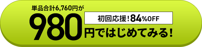 980円ではじめてみる！