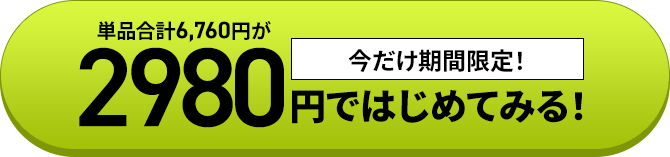 2980円ではじめてみる！