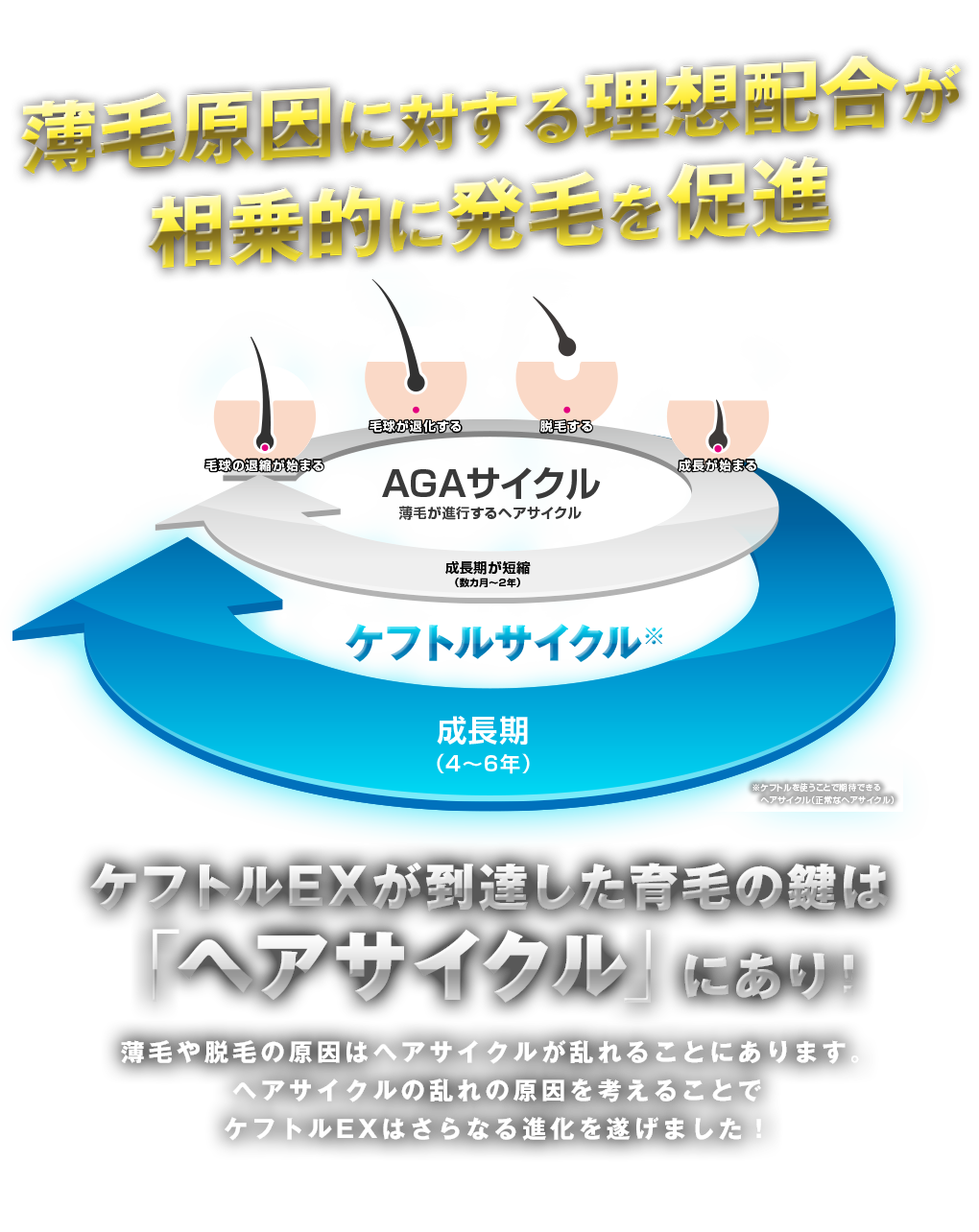 薄毛原因に対する理想配合が 相乗的に発毛を促進