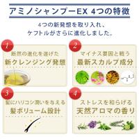 【定期購入】ケフトルEX アミノシャンプー（詰替500ml）