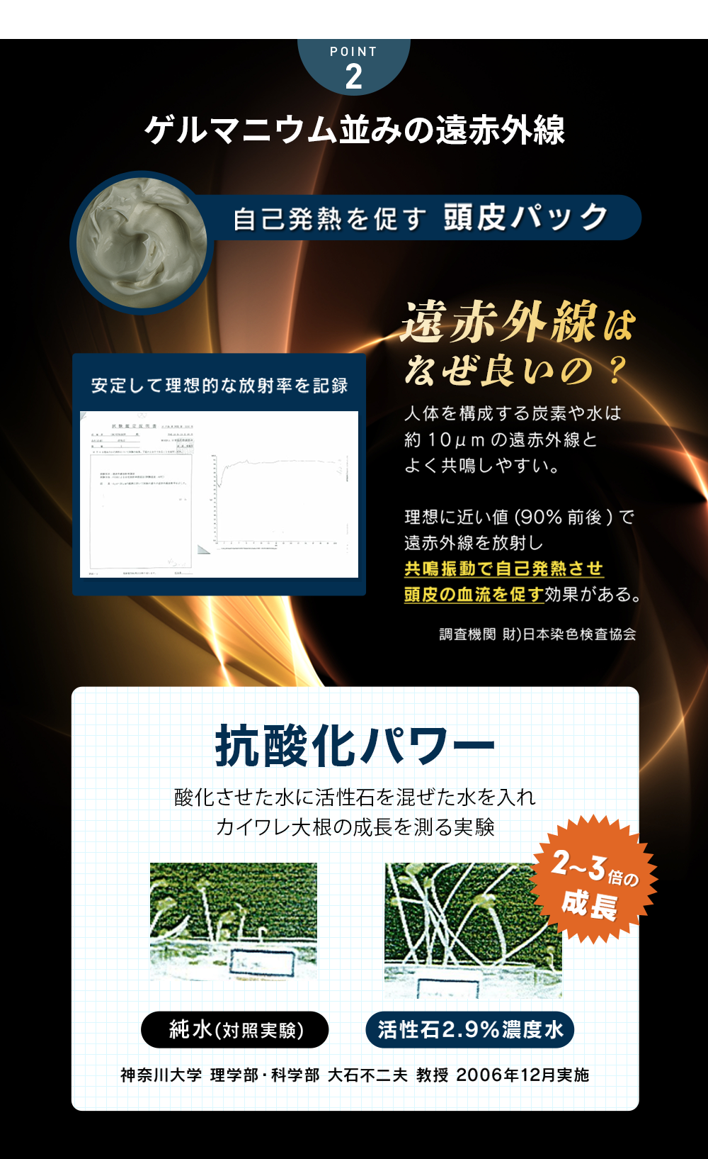 POINT2 頭皮の皮脂汚れをすっきり除去