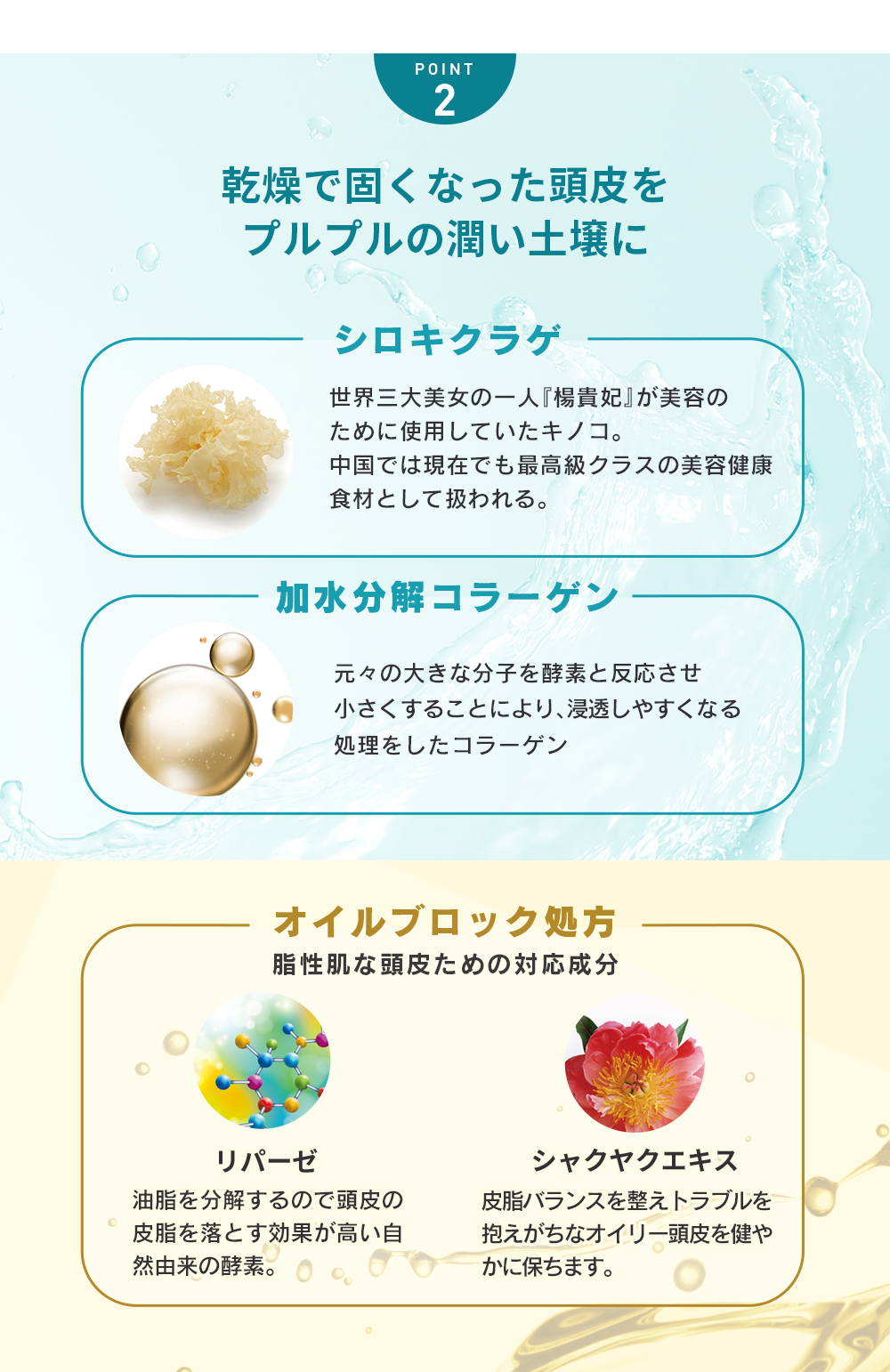 POINT2 乾燥で固くなった頭皮をプルプルの潤い土壌に