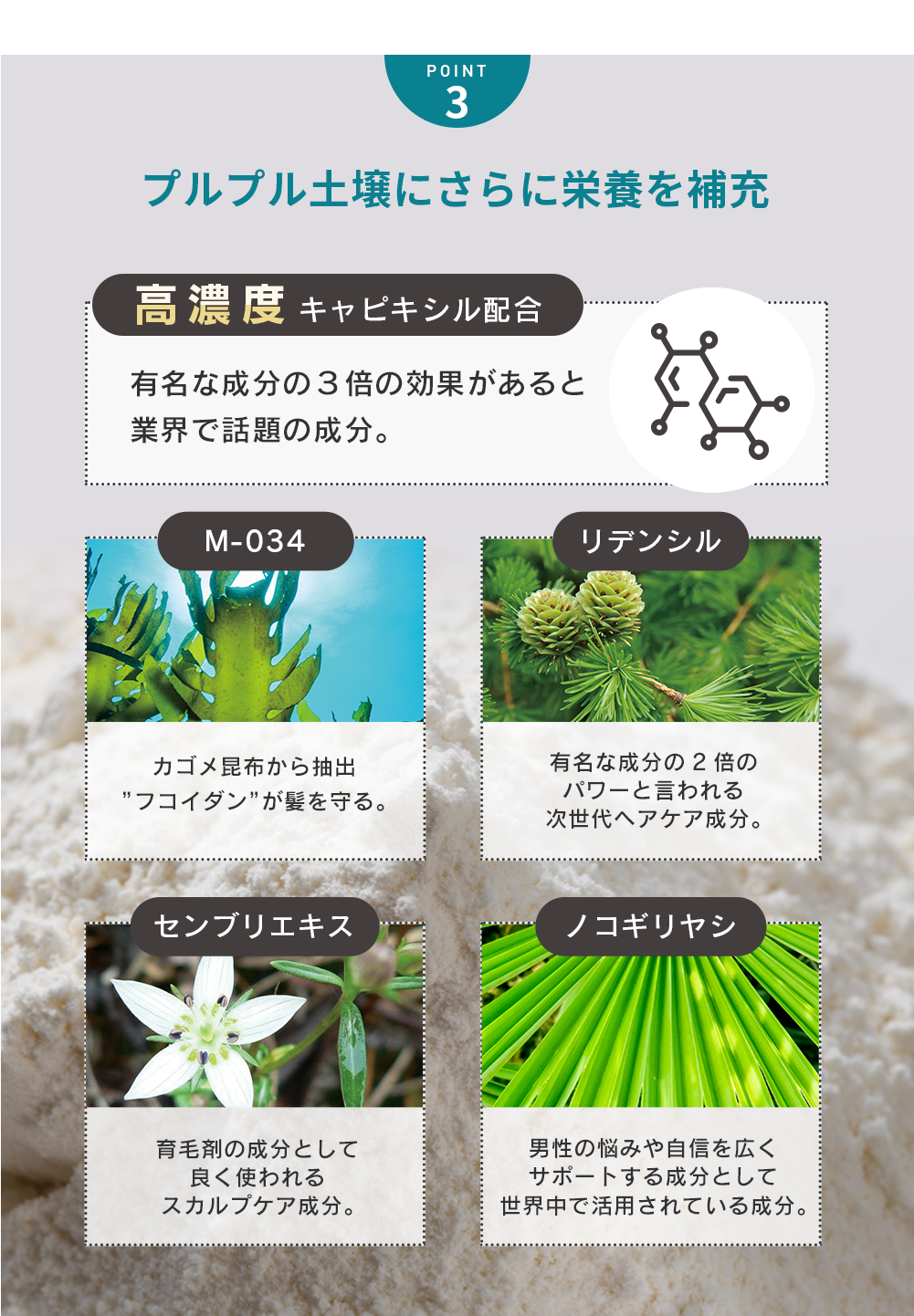 POINT3 プルプル土壌にさらに栄養を補充