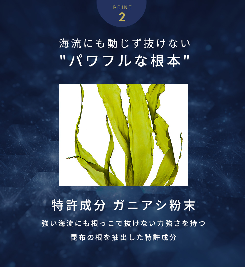 POINT2海流にもどうじず抜けないパワフルな根本特許成分ガニアシ粉末